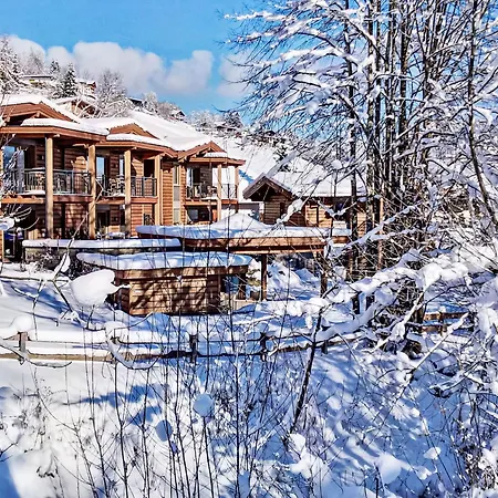 Apartment Tirol Wildschoenau 4 By Interhome *